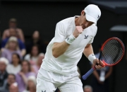 爱游戏APP-温网逆转戴维斯杯，穆雷扛起全队