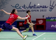 爱游戏在线-德国队横扫马来西亚队，戴资颖惊艳四座