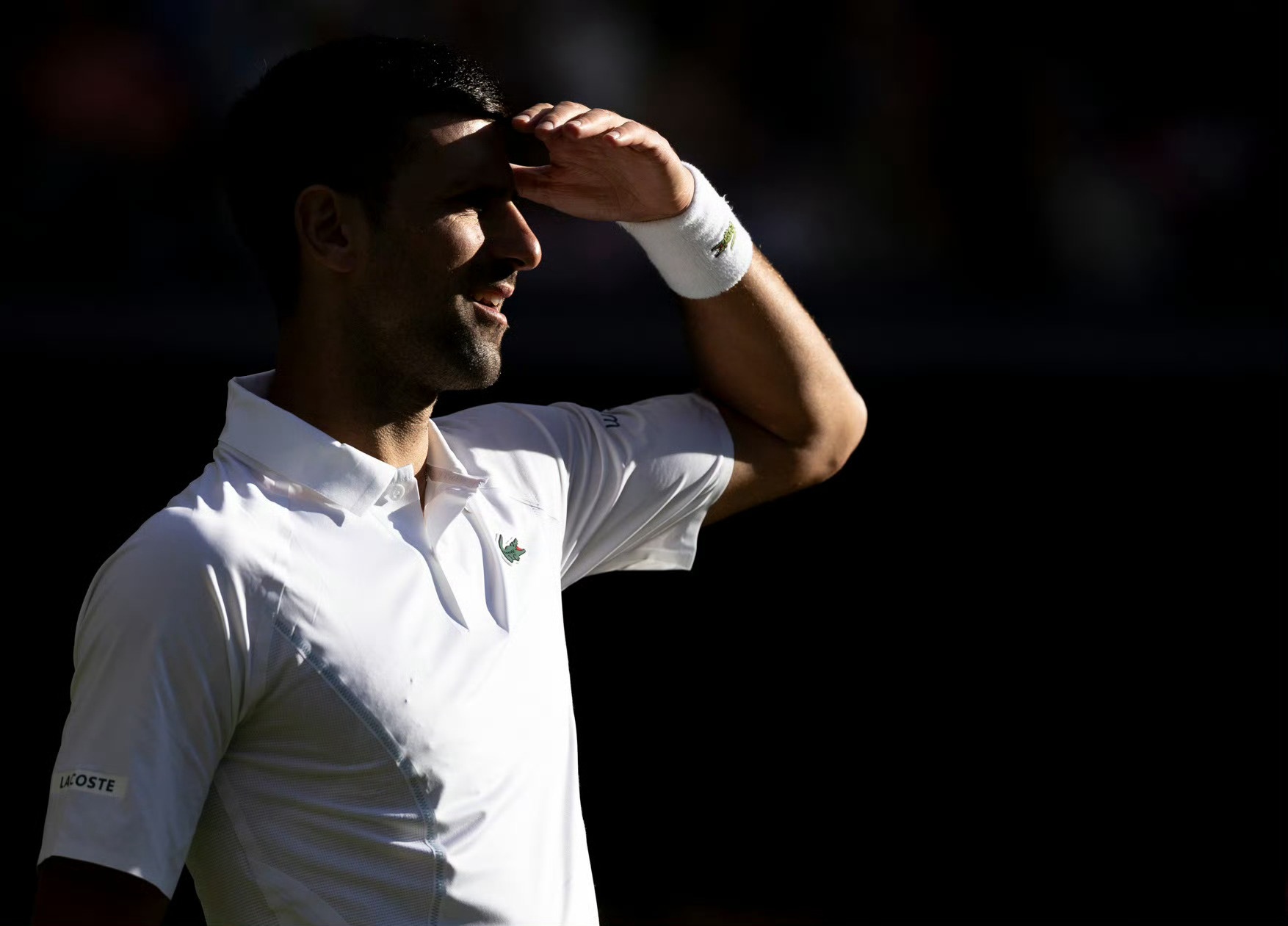 温网横扫蒙特卡洛大师赛，梅德韦杰夫刷新纪录