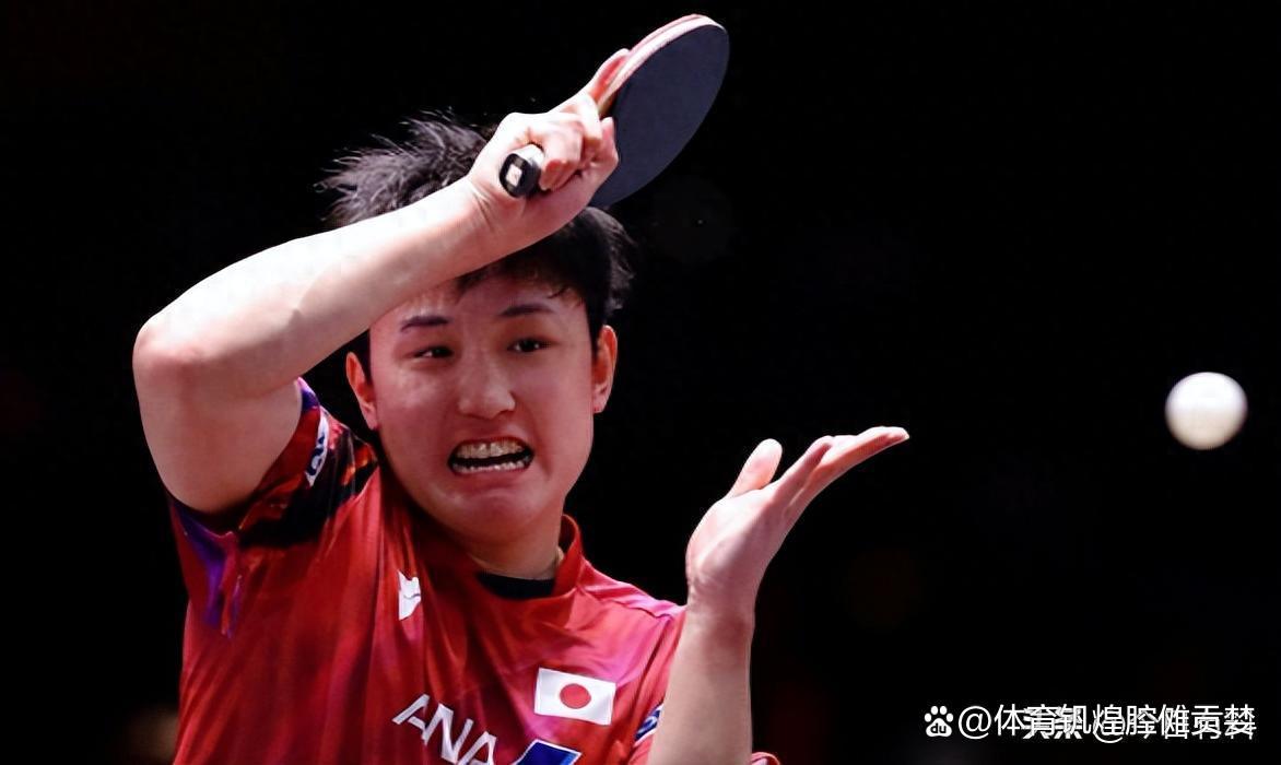 波兰队逆转中国队，张本智和状态火热