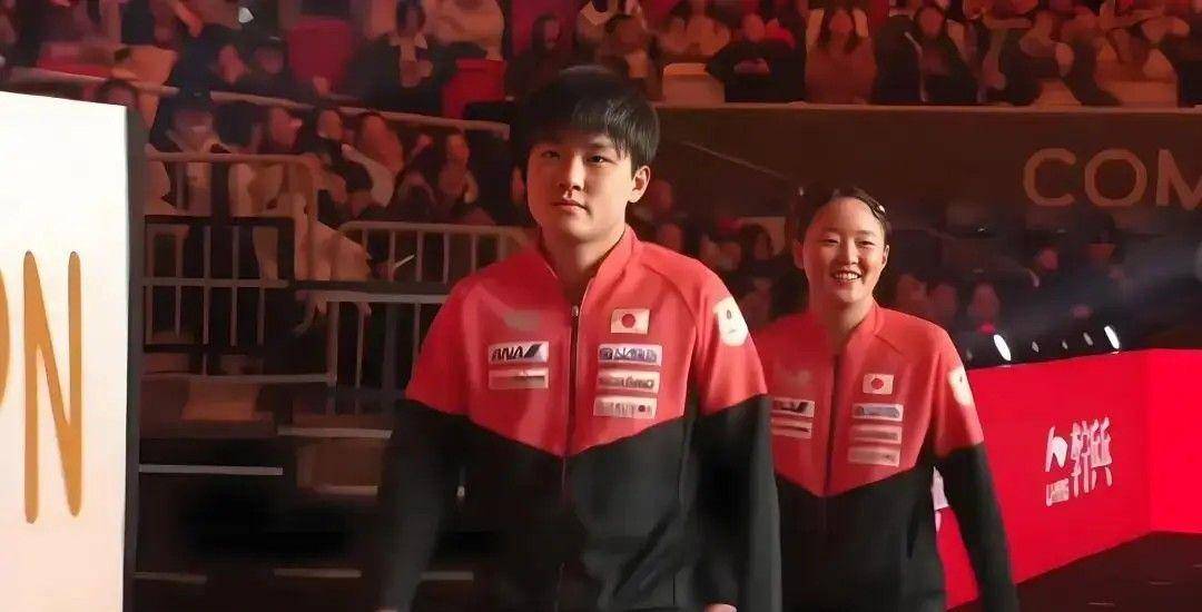 英格兰队横扫韩国队，张本智和关键制胜